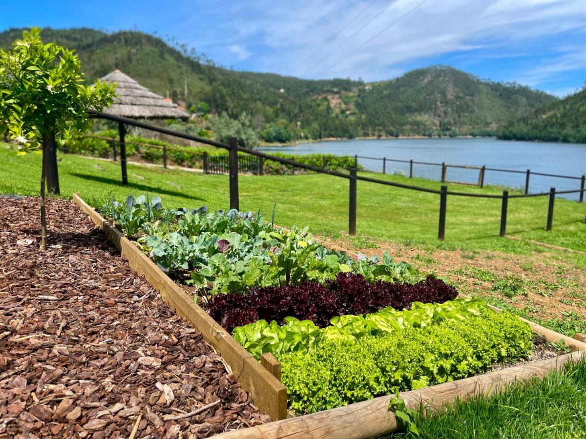 Campos River House Figueiro Dos Vinhos Zewnętrze zdjęcie
